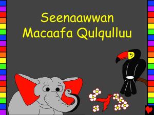Book cover of Seenaawwan Macaafa Qulqulluu