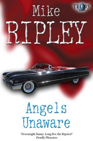 Cover of the book Angels Unaware by Mike Ripley