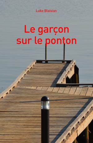 Cover of the book Le garçon sur le ponton by Pierre Béhel