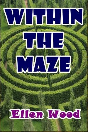 Cover of the book Within the Maze by Harry Castlemon