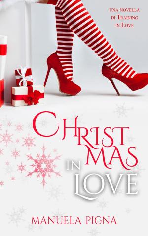 Cover of the book Christmas in Love by Terri Marie
