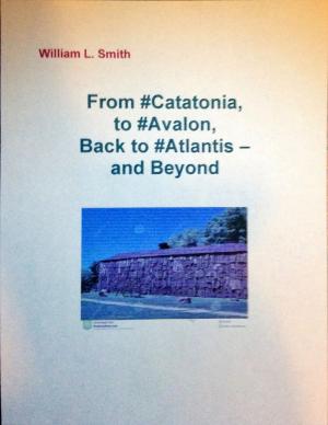 Book cover of From #Catatonia, to #Avalon, Back to #Atlantis - and Beyond