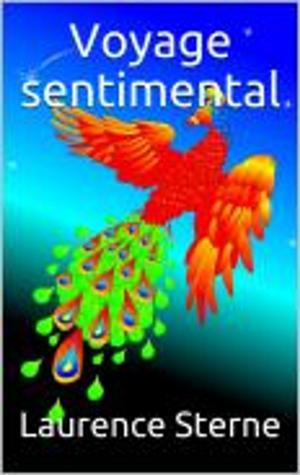 Cover of the book Voyage sentimental by Multatuli