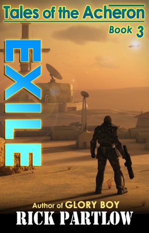 Cover of the book Exile by S.A. Hunter