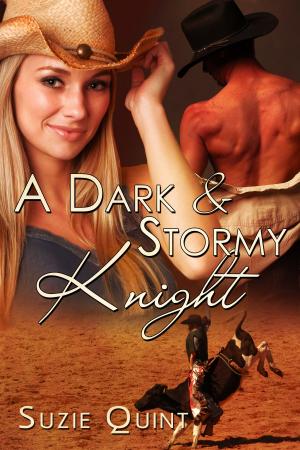 Cover of the book A Dark & Stormy Knight by Lynn Hubbard