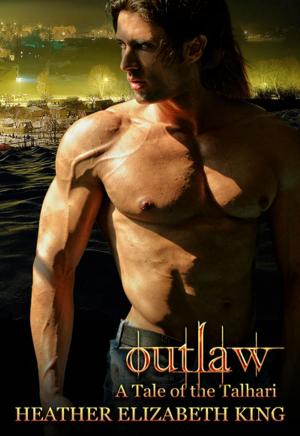 Book cover of Outlaw