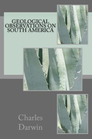Cover of the book Geological Observations on South America by E. Nesbit