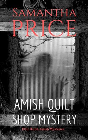 Book cover of Amish Quilt Shop Mystery
