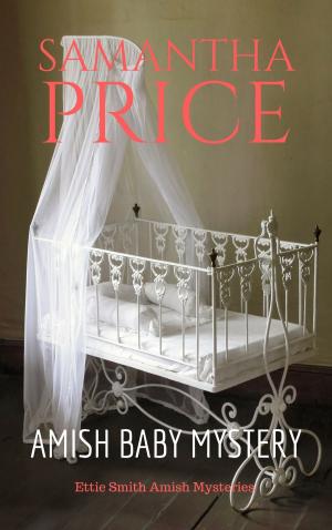 Cover of the book Amish Baby Mystery by Samantha Price