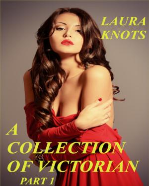Cover of the book A Collection of Victorian Tales by Lucy Appadoo