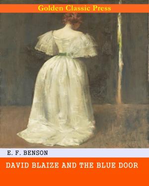 Cover of the book David Blaize and the Blue Door by Richard Quinn