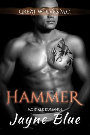 Cover of the book Hammer by Cora Reed