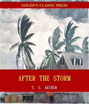 Cover of the book After the Storm by Horatio Alger