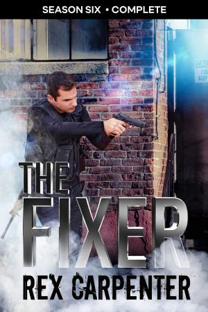 Book cover of The Fixer, Season 6: Complete