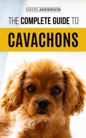Book cover of The Complete Guide to Cavachons