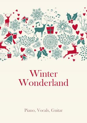 Cover of the book Winter Wonderland by Martin Malto, traditional