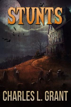 Cover of the book Stunts by Nancy Kilpatrick