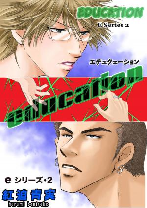 Cover of the book E-Series (Yaoi Manga) by Kaoru Okino