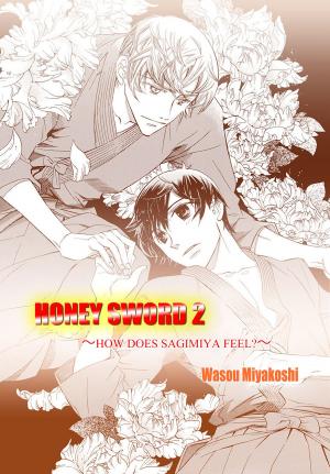 Book cover of Honey Sword (Yaoi Manga)