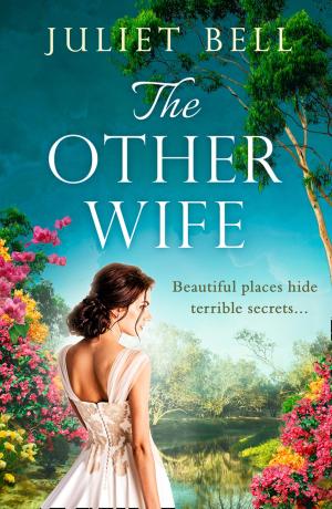 Cover of the book The Other Wife by Phil Gifford, Peter Leitch