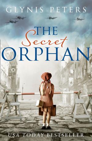 Cover of the book The Secret Orphan by Melinda Viergever Inman