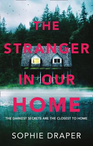 Book cover of The Stranger in Our Home