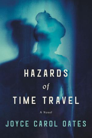 Cover of the book Hazards of Time Travel by Michael Shelden