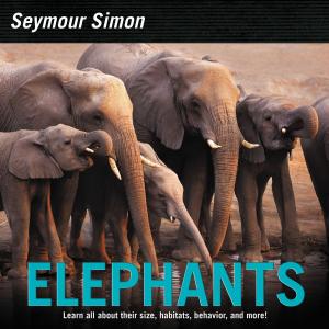 Book cover of Elephants