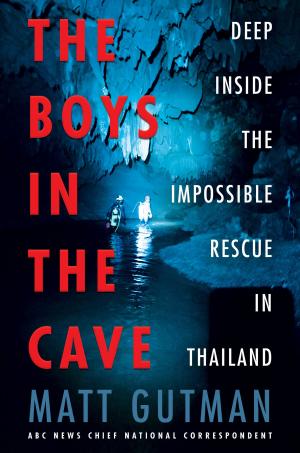 Cover of the book The Boys in the Cave by Charles Todd