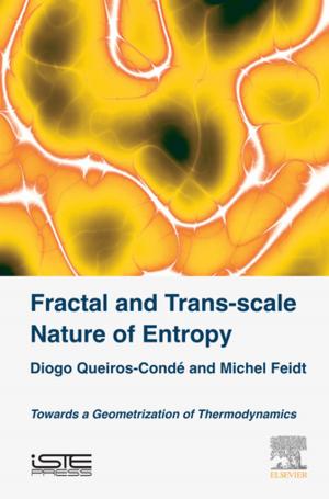 Book cover of Fractal and Trans-scale Nature of Entropy