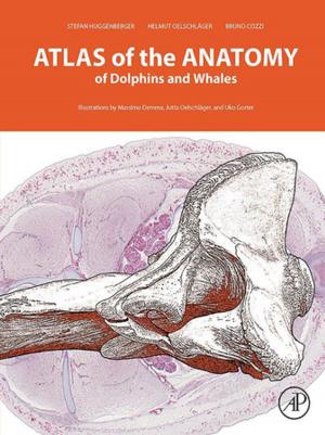 Cover of the book Atlas of the Anatomy of Dolphins and Whales by K.P. Prabhakaran Nair