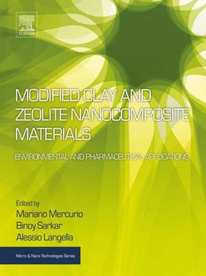 Cover of the book Modified Clay and Zeolite Nanocomposite Materials by Walter Dodds, Matt Whiles