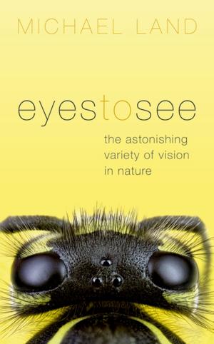 Cover of the book Eyes to See by Mathias Kölliker