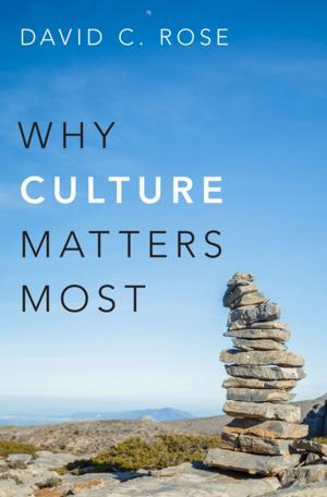 Cover of the book Why Culture Matters Most by Joe Macleod