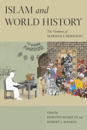 Cover of the book Islam and World History by 