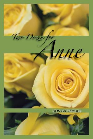 Book cover of Two Dozen for Anne