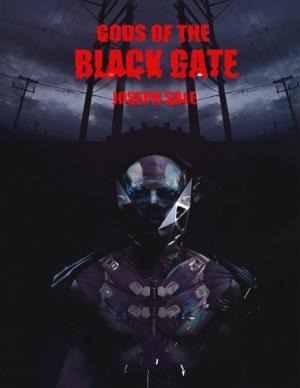 Cover of the book Gods of the Black Gate by RC Ellis