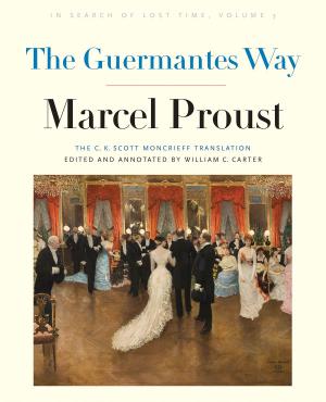 Book cover of The Guermantes Way