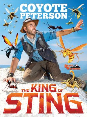Cover of the book The King of Sting by Jennifer Brown
