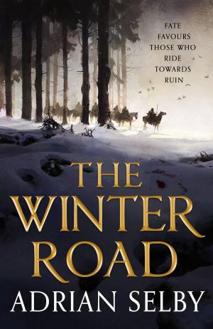 Cover of the book The Winter Road by N. K. Jemisin