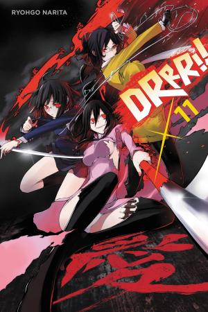Cover of the book Durarara!!, Vol. 11 (light novel) by Karino Takatsu