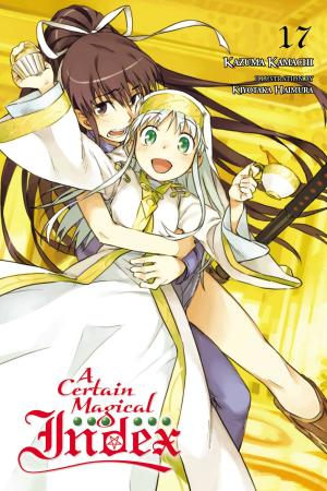 Cover of the book A Certain Magical Index, Vol. 17 (light novel) by Satsuki Yoshino