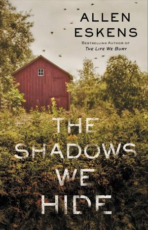 Cover of the book The Shadows We Hide by Lawrence LeShan