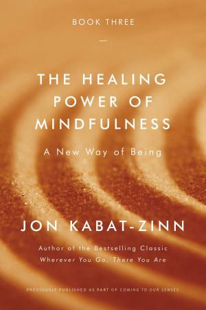 Cover of the book The Healing Power of Mindfulness by Gary Andrew Poole