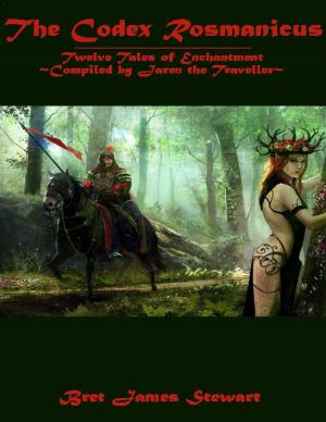 bigCover of the book Codex Rosmanicus: Twelve Tales of Enchantment by 