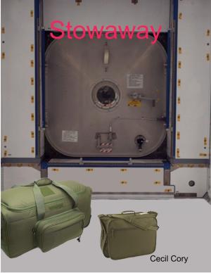 Cover of the book Stowaway by Regina Rogers