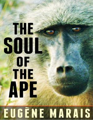 Cover of the book The Soul of the Ape by Chinmoy Mukherjee
