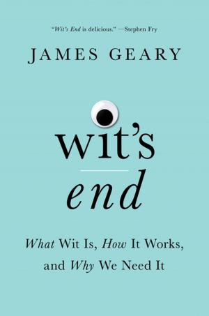 Cover of the book Wit's End: What Wit Is, How It Works, and Why We Need It by Alysia Abbott