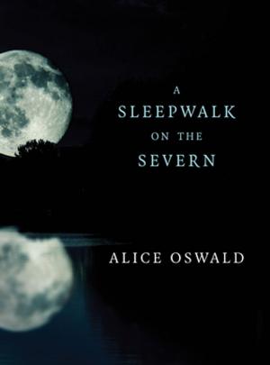 Cover of the book A Sleepwalk on the Severn by Mikael Krogerus, Roman Tschäppeler