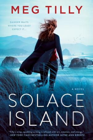 Cover of the book Solace Island by E.J. Copperman